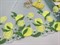 Вышивка на сетке бирюзовый/лимоны, неэластичная, ширина 22 см, левая сторона 2837